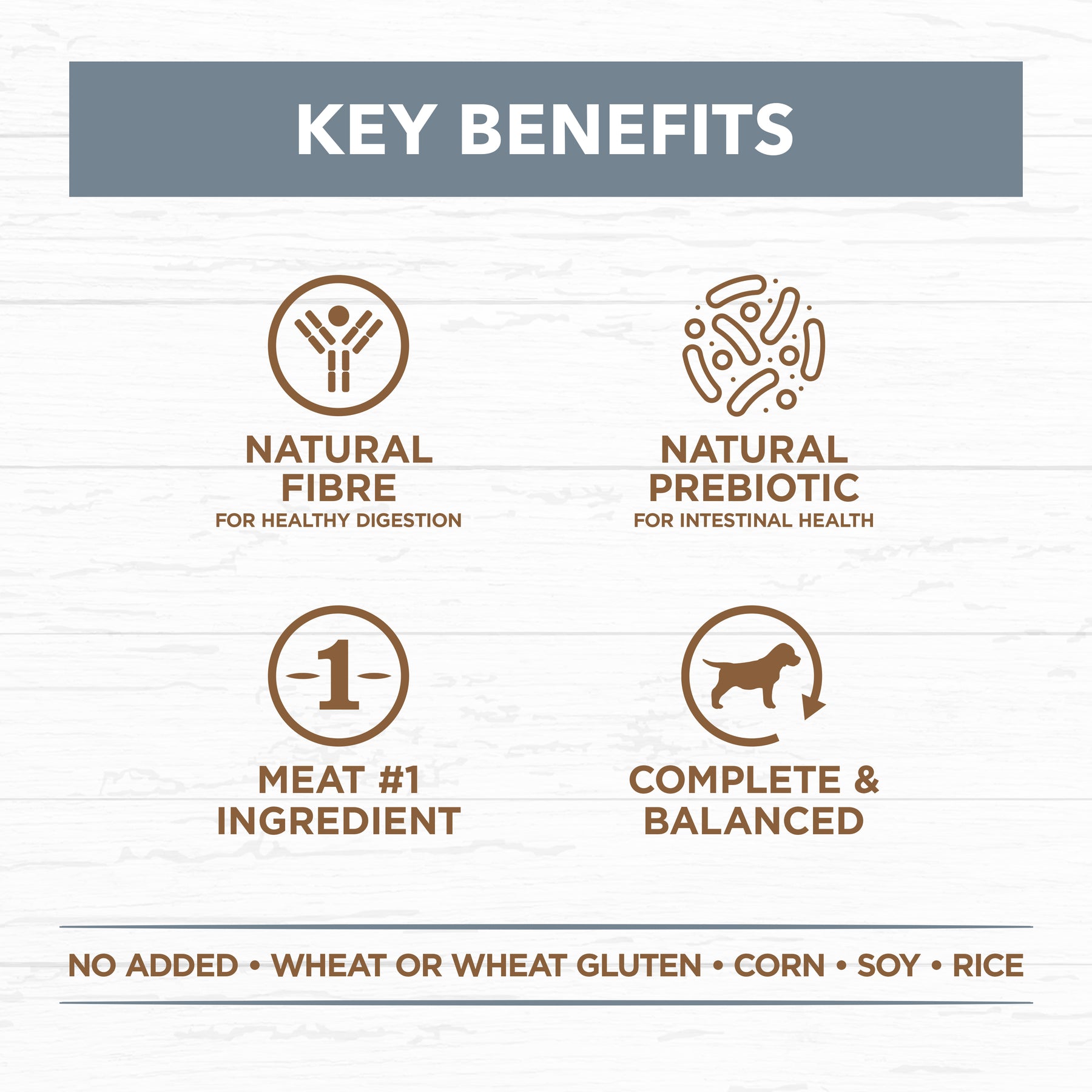 Grain Free Adult Wet Dog Food Lamb & Sardine Stew