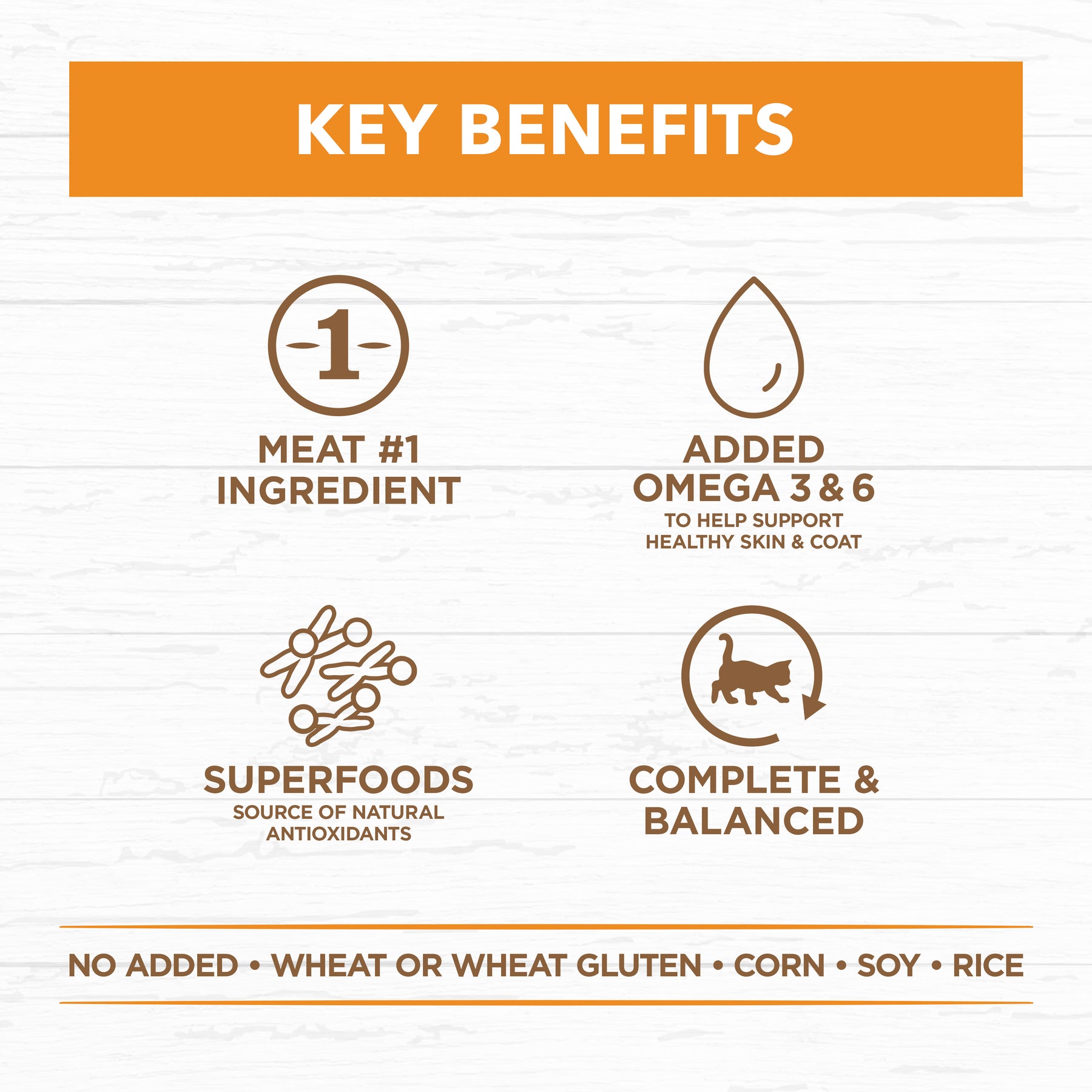 Grain Free Adult Wet Cat Food Chicken in Gravy