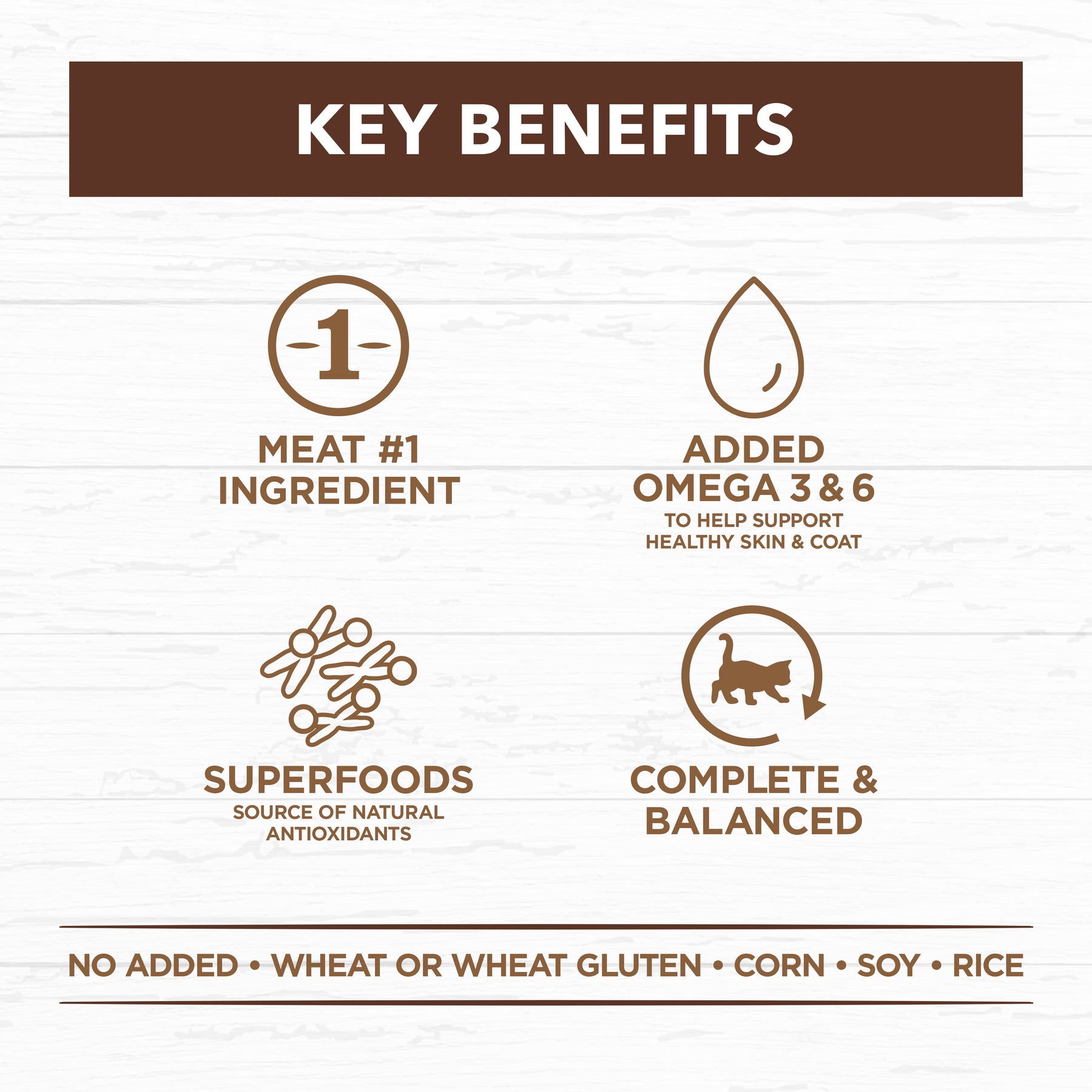 Grain Free Adult Wet Cat Food Chicken & Kangaroo in Gravy
