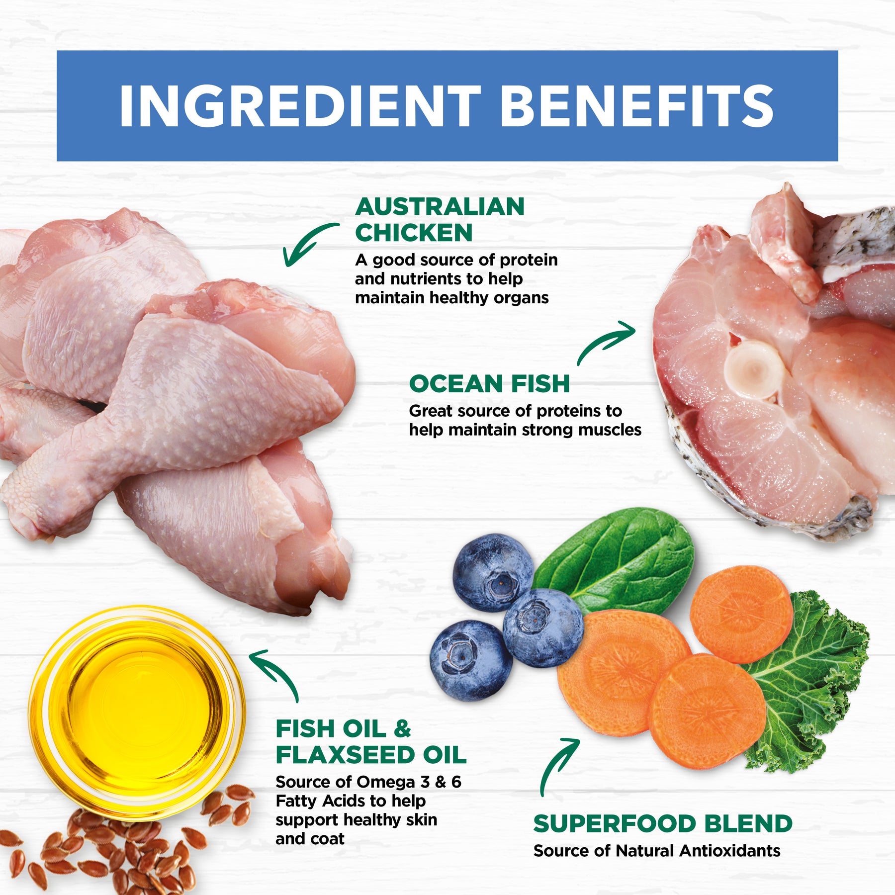 Grain Free Adult Wet Cat Food Chicken & Ocean Fish in Jelly