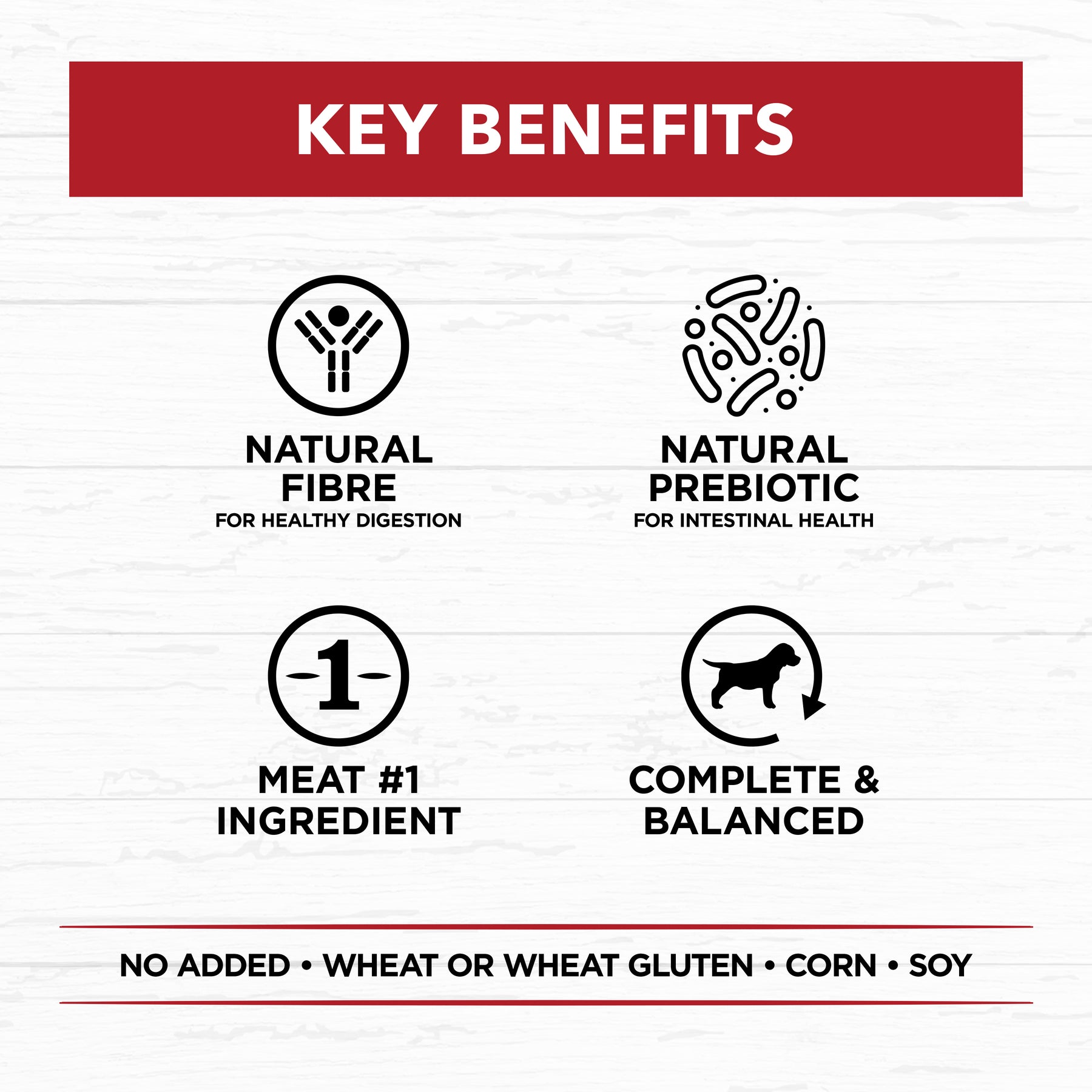 Holistic Nutrition Adult Wet Dog Food Beef & Brown Rice Loaf