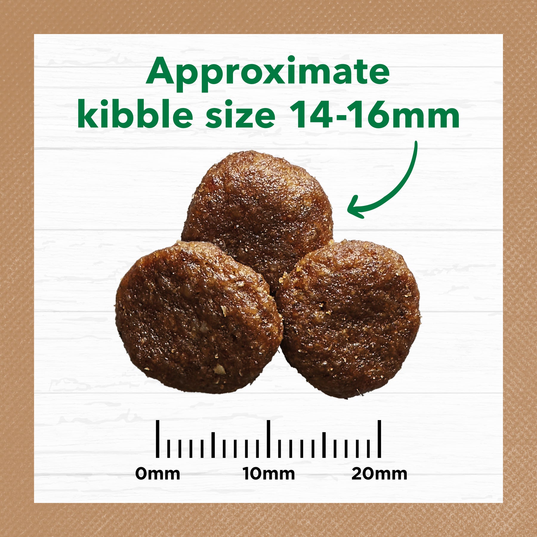 Grain Free Adult Large Breed Dry Dog Food Lamb