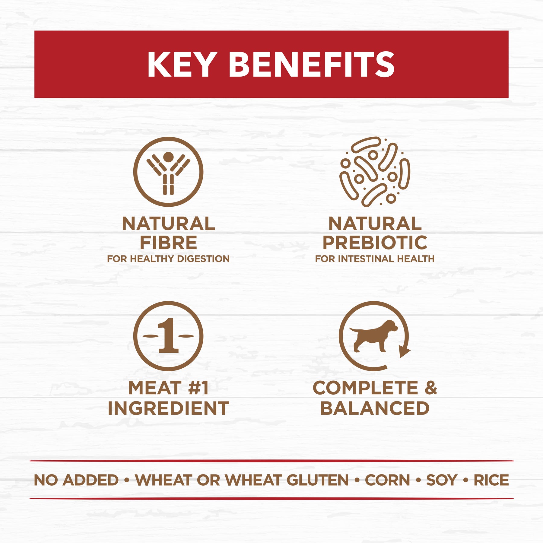Grain Free Adult Wet Dog Food Beef Stew