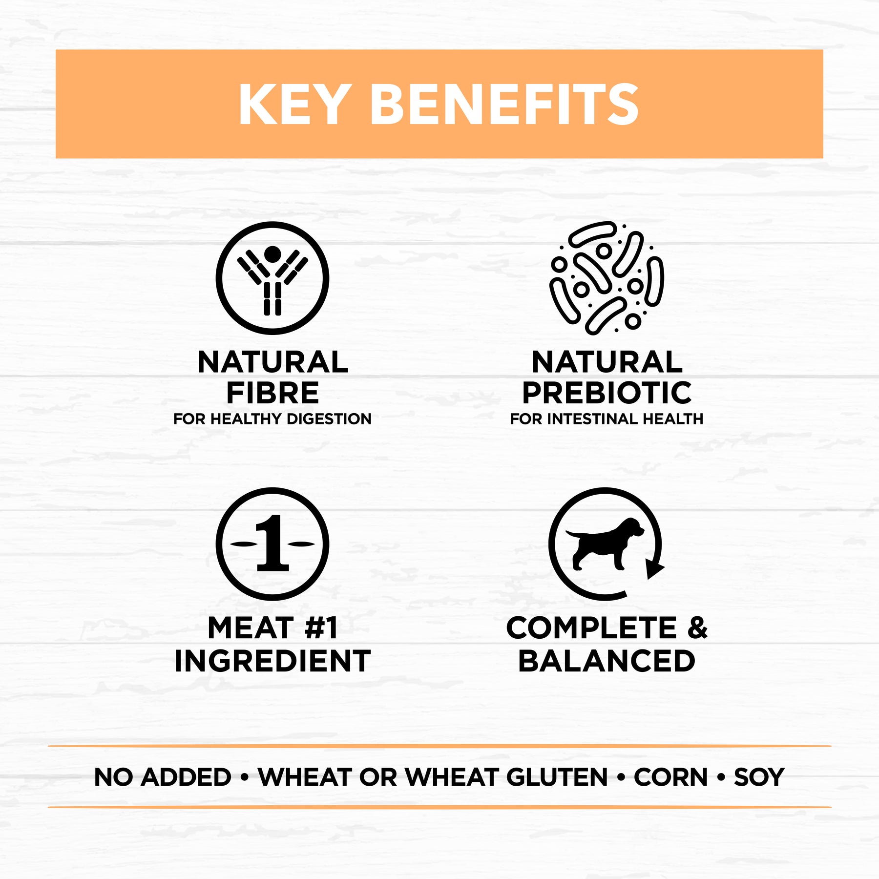 Holistic Nutrition Puppy Wet Dog Food Chicken & Brown Rice Loaf