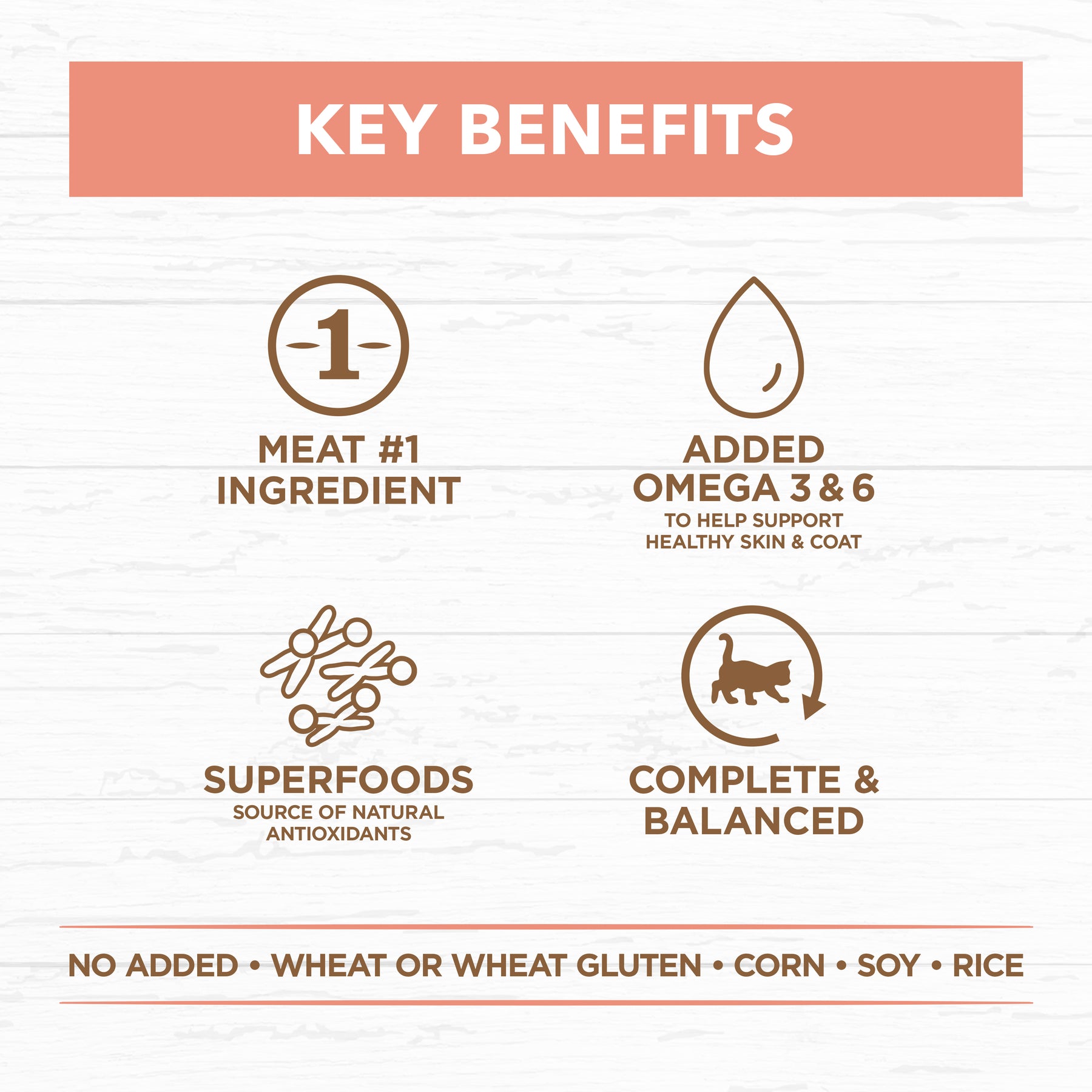 Grain Free Kitten Wet Cat Food Chicken & Beef in Gravy