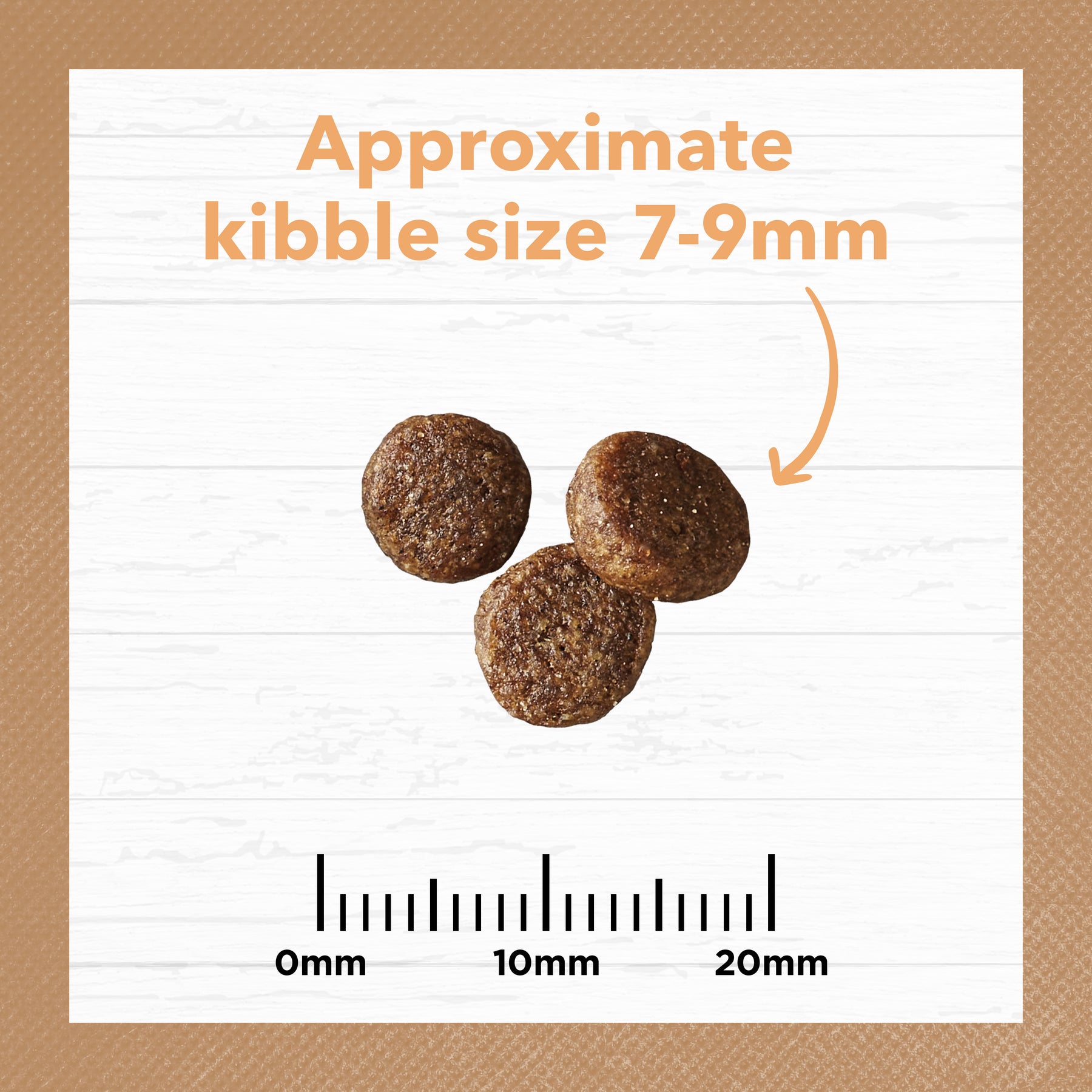 Grain Free Dry Kitten Food Chicken