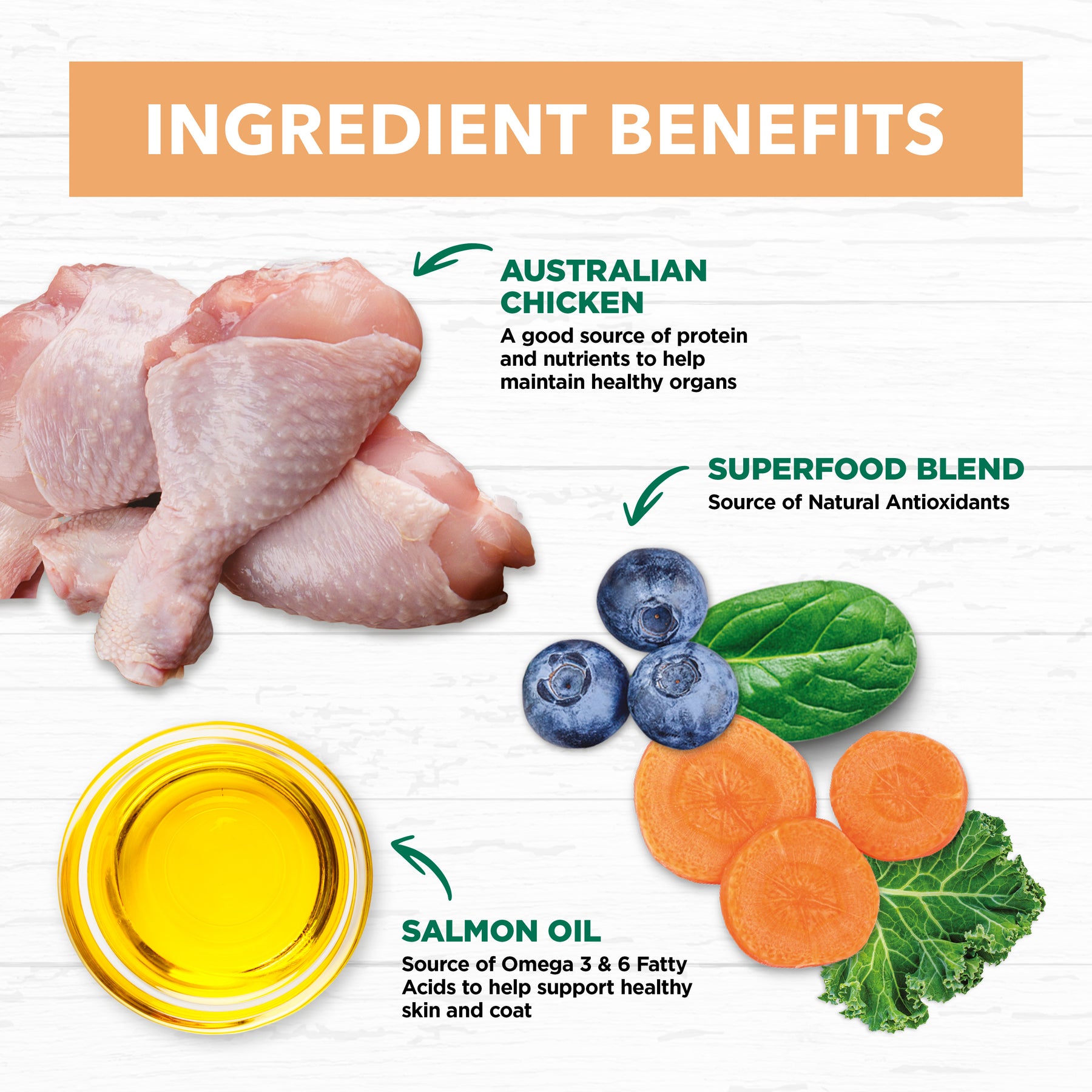 Grain Free Dry Kitten Food Chicken