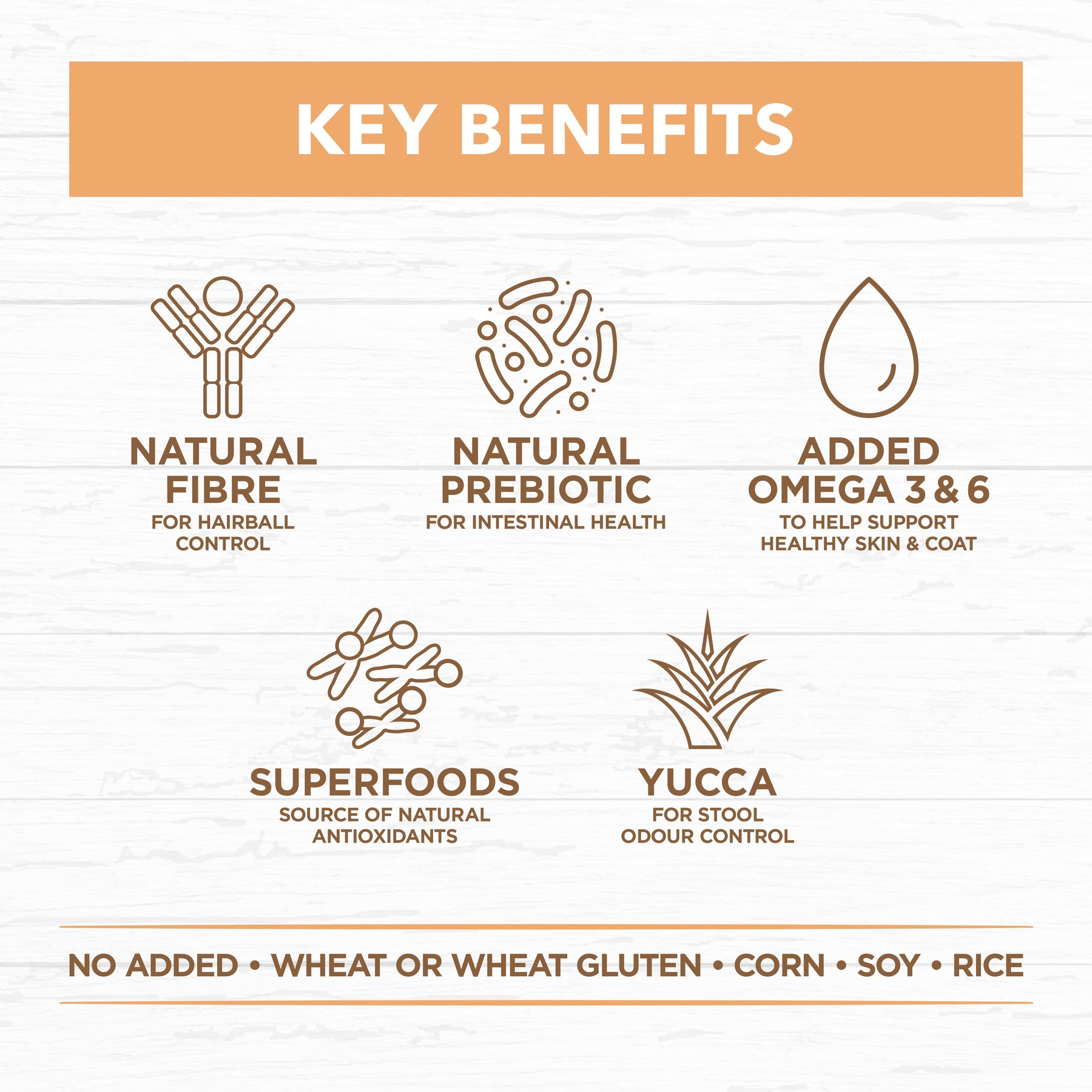 Grain Free Dry Kitten Food Chicken