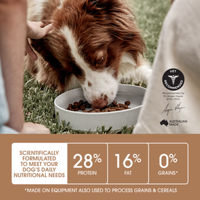 Ivory Coat™ Grain Free Large Breed Puppy Lamb Dry Food