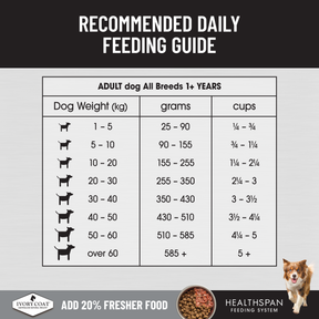 Ivory Coat™ Raw Health Adult Dog Gut Health Dry Food