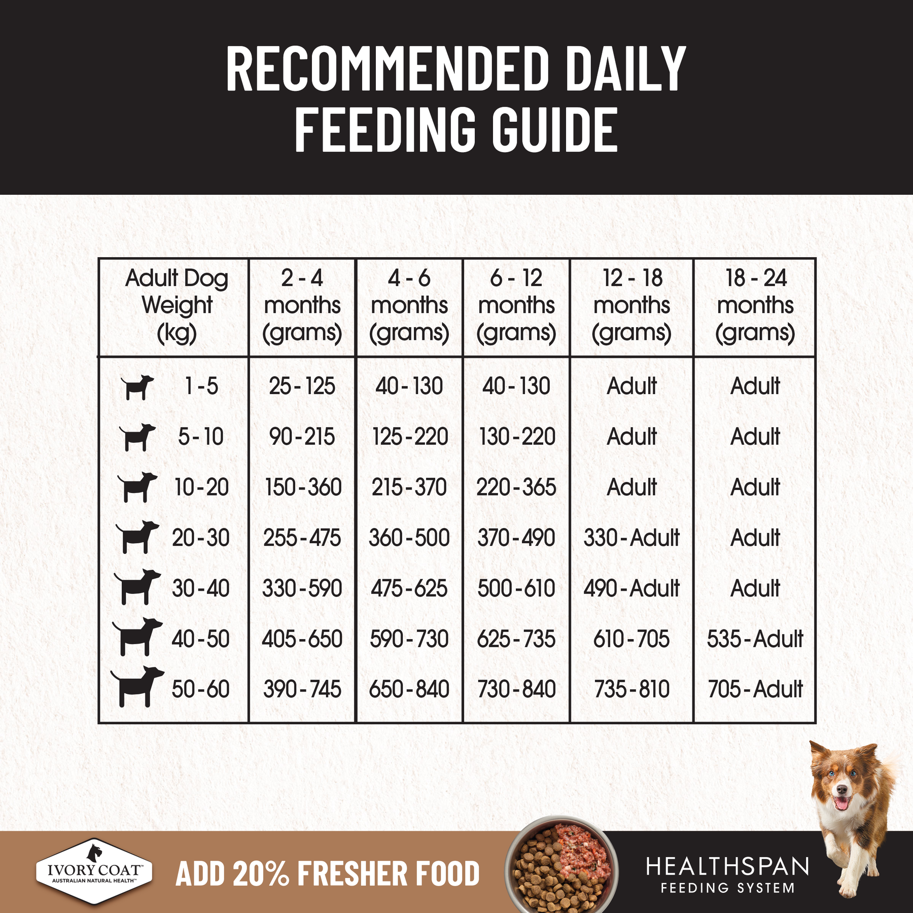 Ivory Coat™ Grain Free Puppy Chicken Dry Food