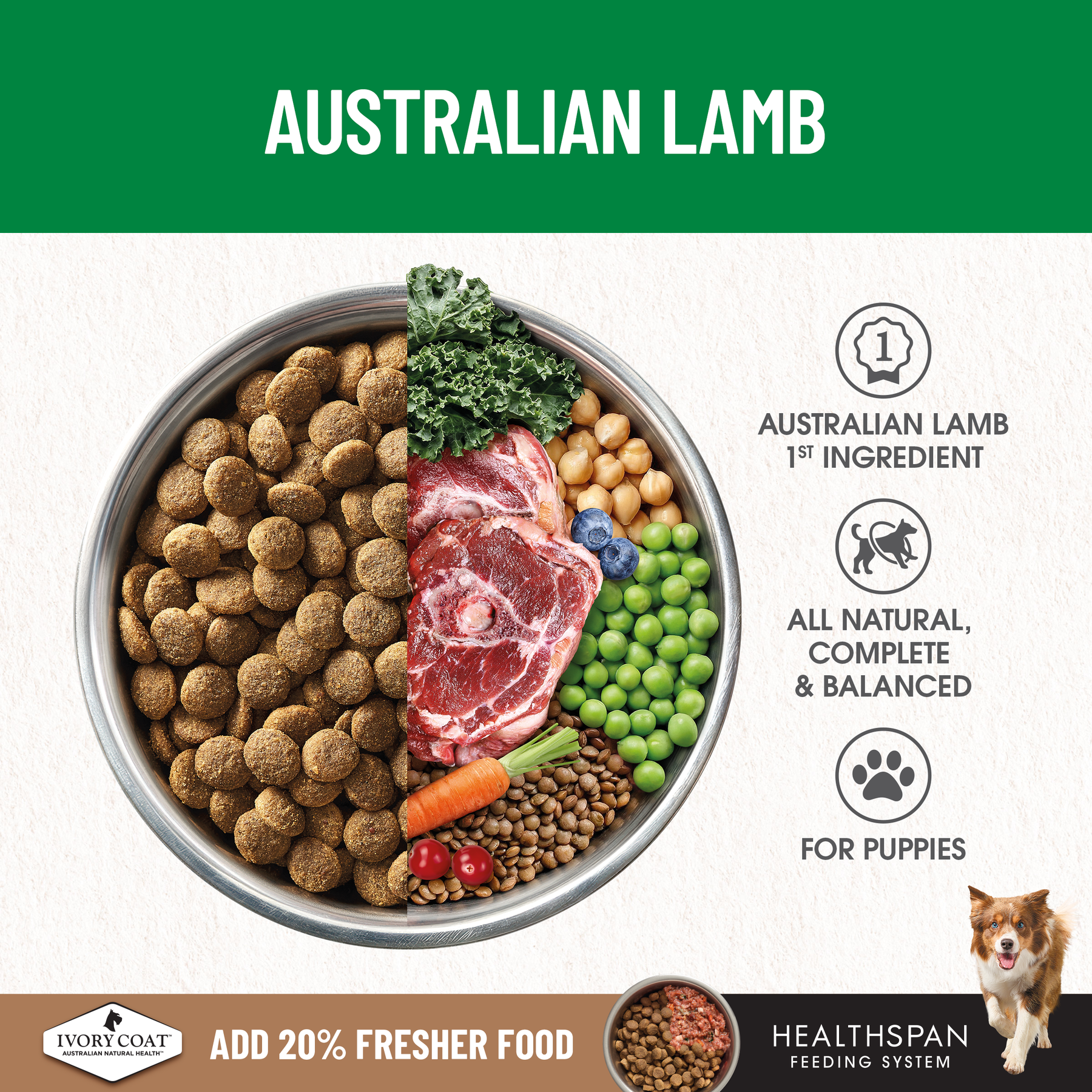 Ivory Coat™ Grain Free Large Breed Puppy Lamb Dry Food