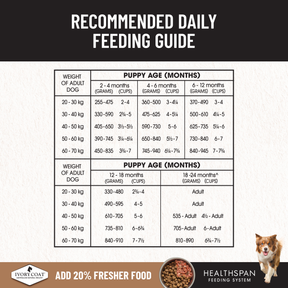 Ivory Coat™ Grain Free Large Breed Puppy Lamb Dry Food