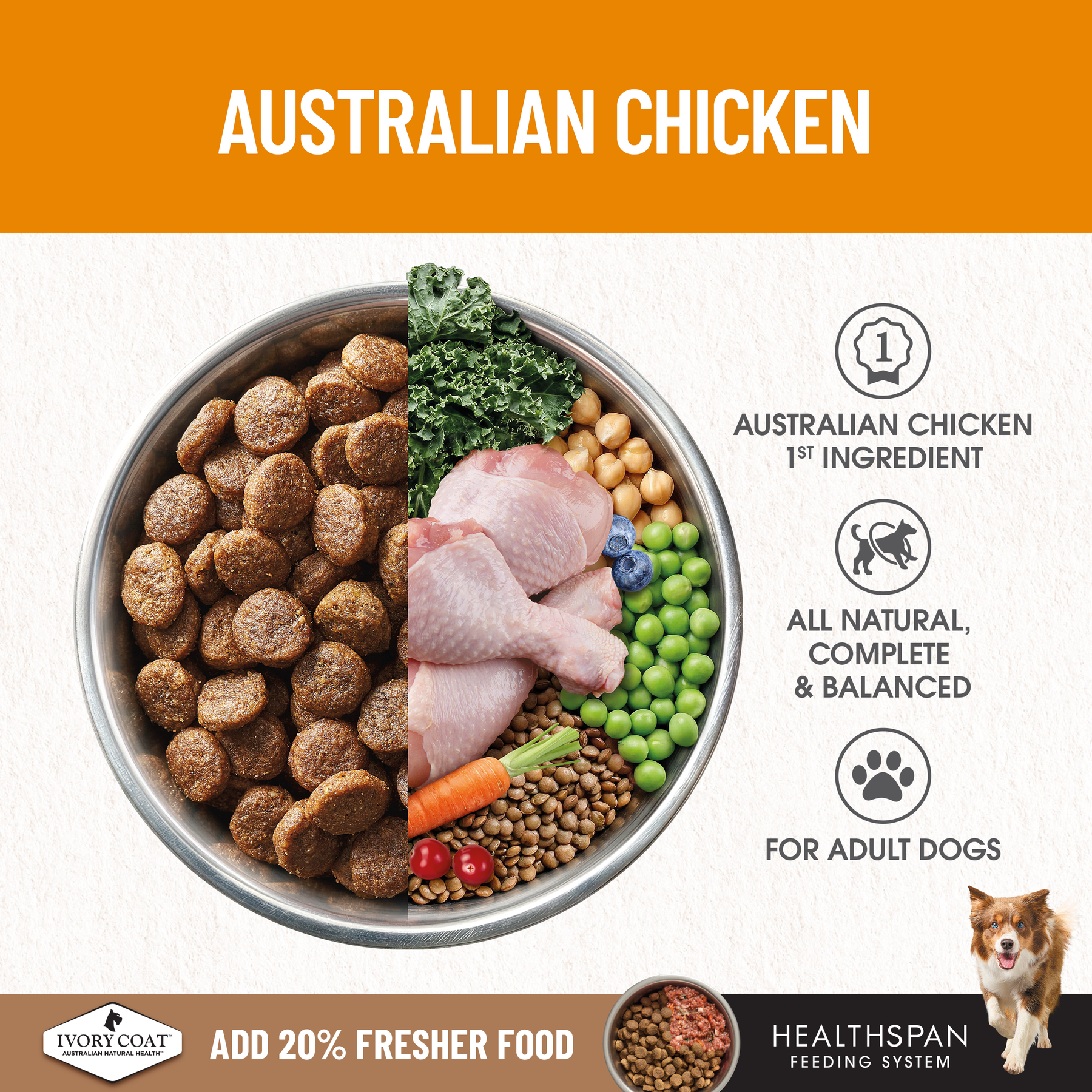 Ivory Coat™ Grain Free Adult & Senior Healthy Weight Chicken Dog Dry Food