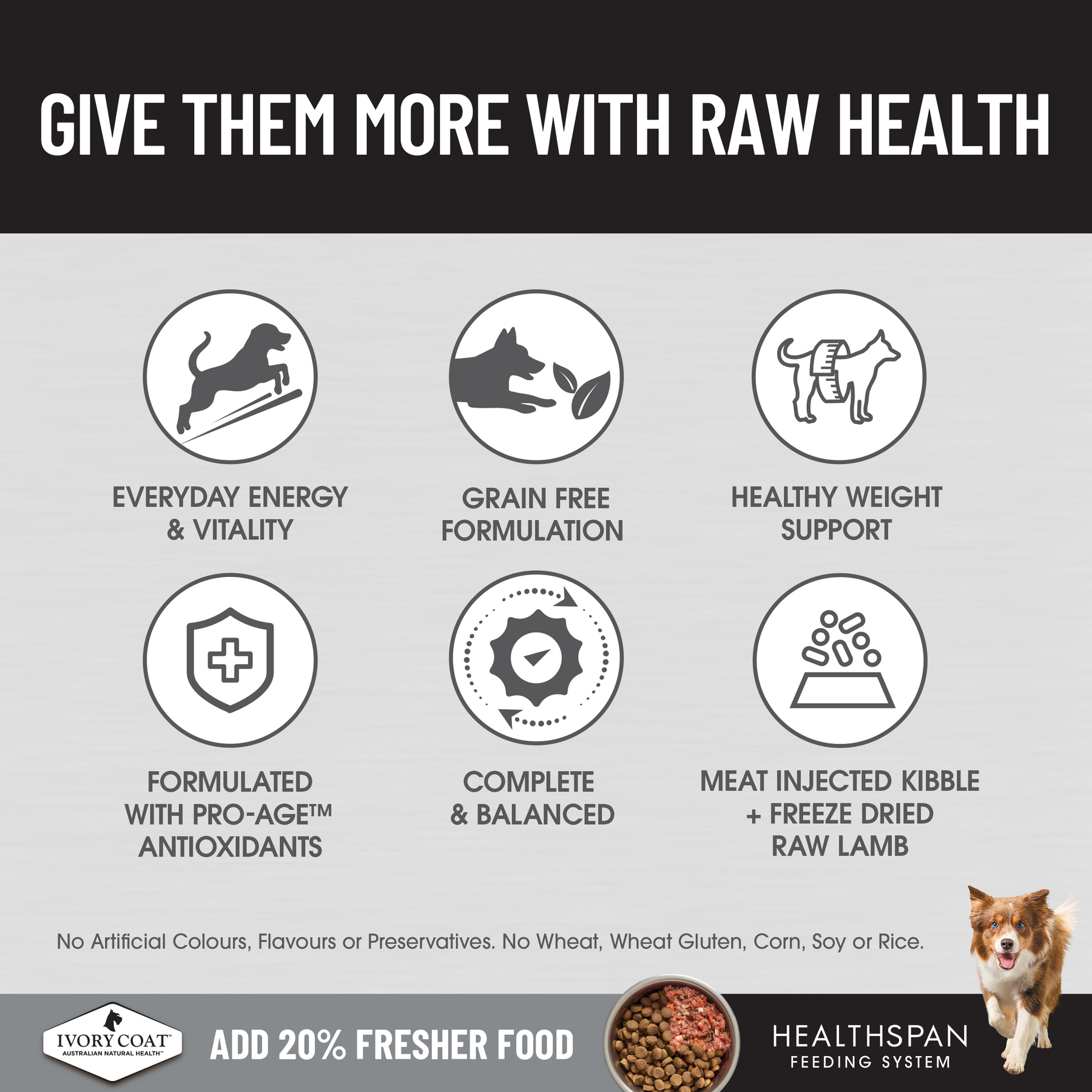 Ivory Coat™ Raw Health Adult Dog Health & Vitality Dry Food