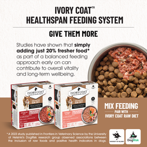 Ivory Coat™ Grain Free Adult Dog Salmon & Ocean Fish Dry Food