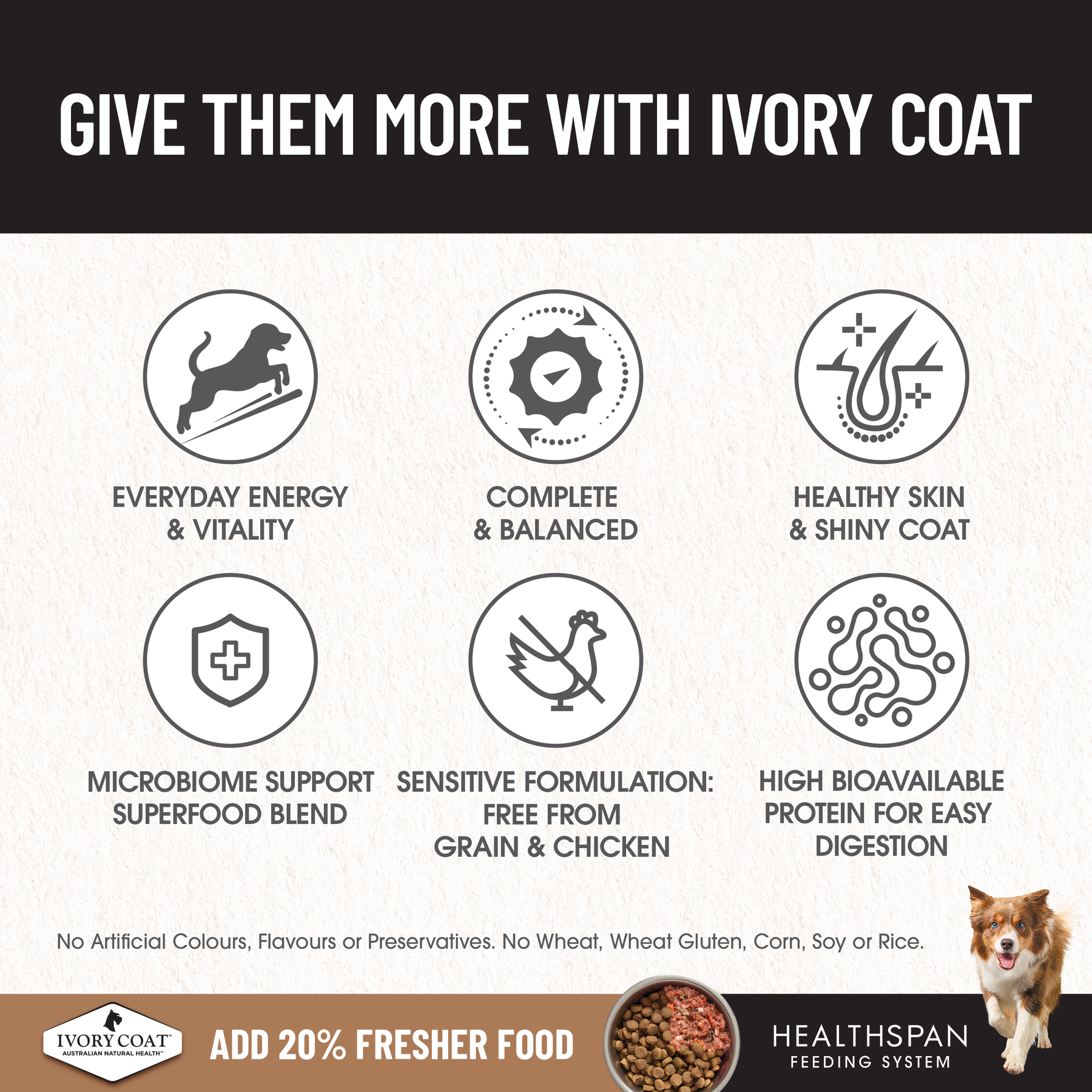 Ivory Coat™ Grain Free Adult Dog Salmon & Ocean Fish Dry Food