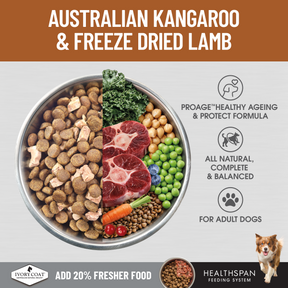 Ivory Coat™ Raw Health Adult Dog Health & Vitality Dry Food