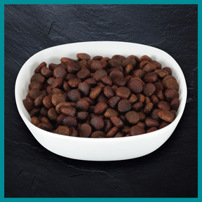 Billy + Margot™ Adult Dog Salmon + Superfoods Recipe Dry Food