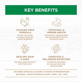 Grain Free Adult Large Breed Dry Dog Food Lamb