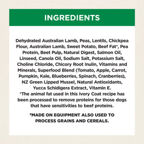 Grain Free Adult Large Breed Dry Dog Food Lamb