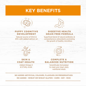 Grain Free Puppy All Breeds Dry Dog Food Chicken