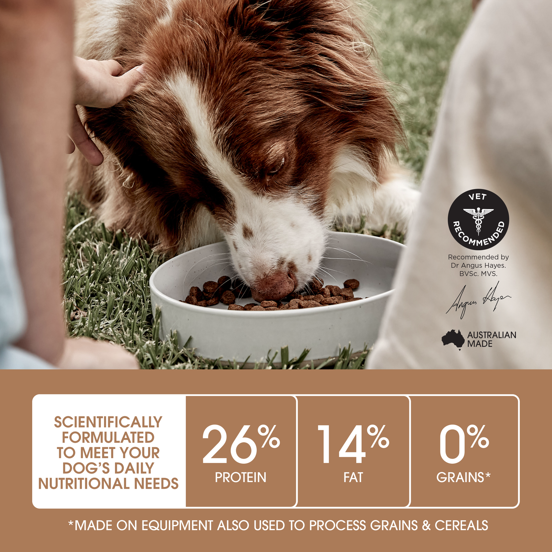Ivory Coat™ Grain Free Large Breed Adult Dog Lamb Dry Food