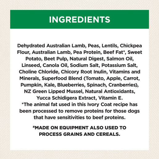 Grain Free Puppy Large Breed Dry Dog Food Lamb