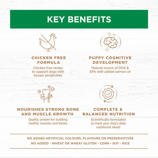 Grain Free Puppy Large Breed Dry Dog Food Lamb