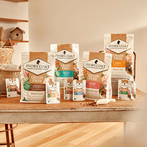 Grain Free Adult Wet Cat Food Chicken & Lamb in Gravy