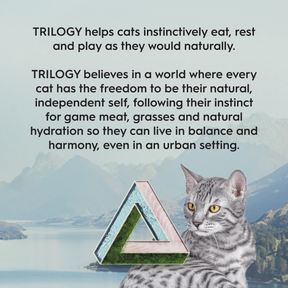Trilogy™ Adult Cat Australian Barramundi with Tuna & Freeze Dried Lamb Dry Food