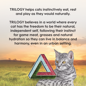 Trilogy™ Adult Cat Australian Kangaroo & Freeze Dried Lamb Dry Food