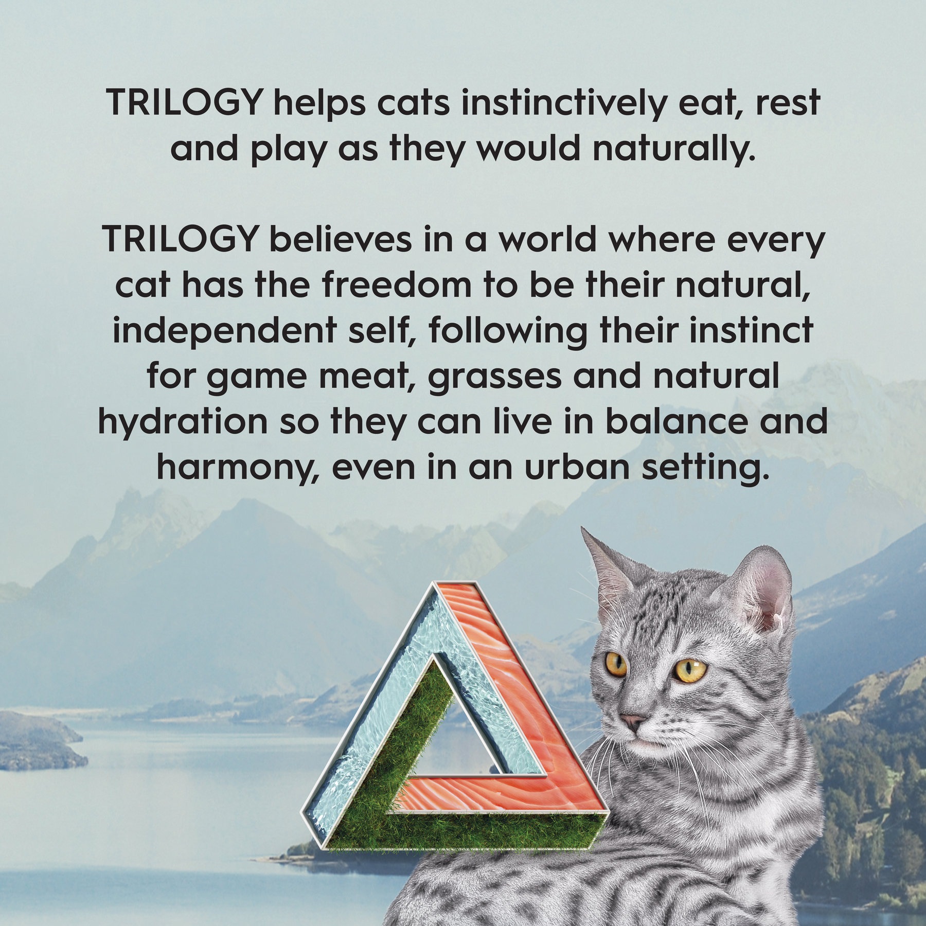 Trilogy™ Adult Cat Australian Salmon & Freeze Dried Lamb Dry Food