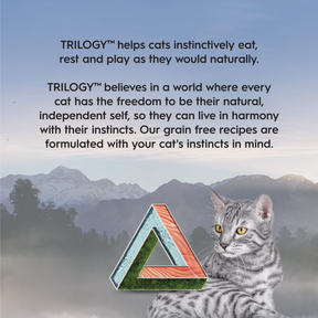 Trilogy™ Adult Cat Wild Caught Alaskan Salmon in Bone Broth Wet Food