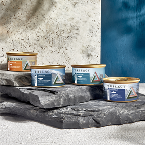 Trilogy™ Adult Cat Wild Caught Alaskan Salmon in Bone Broth Wet Food