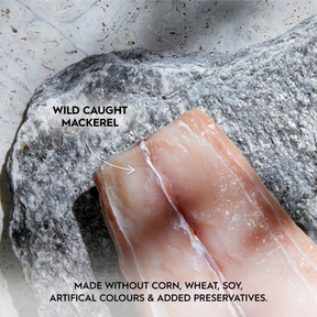 Trilogy™ Adult Cat Wild Caught Mackerel in Bone Broth Wet Food