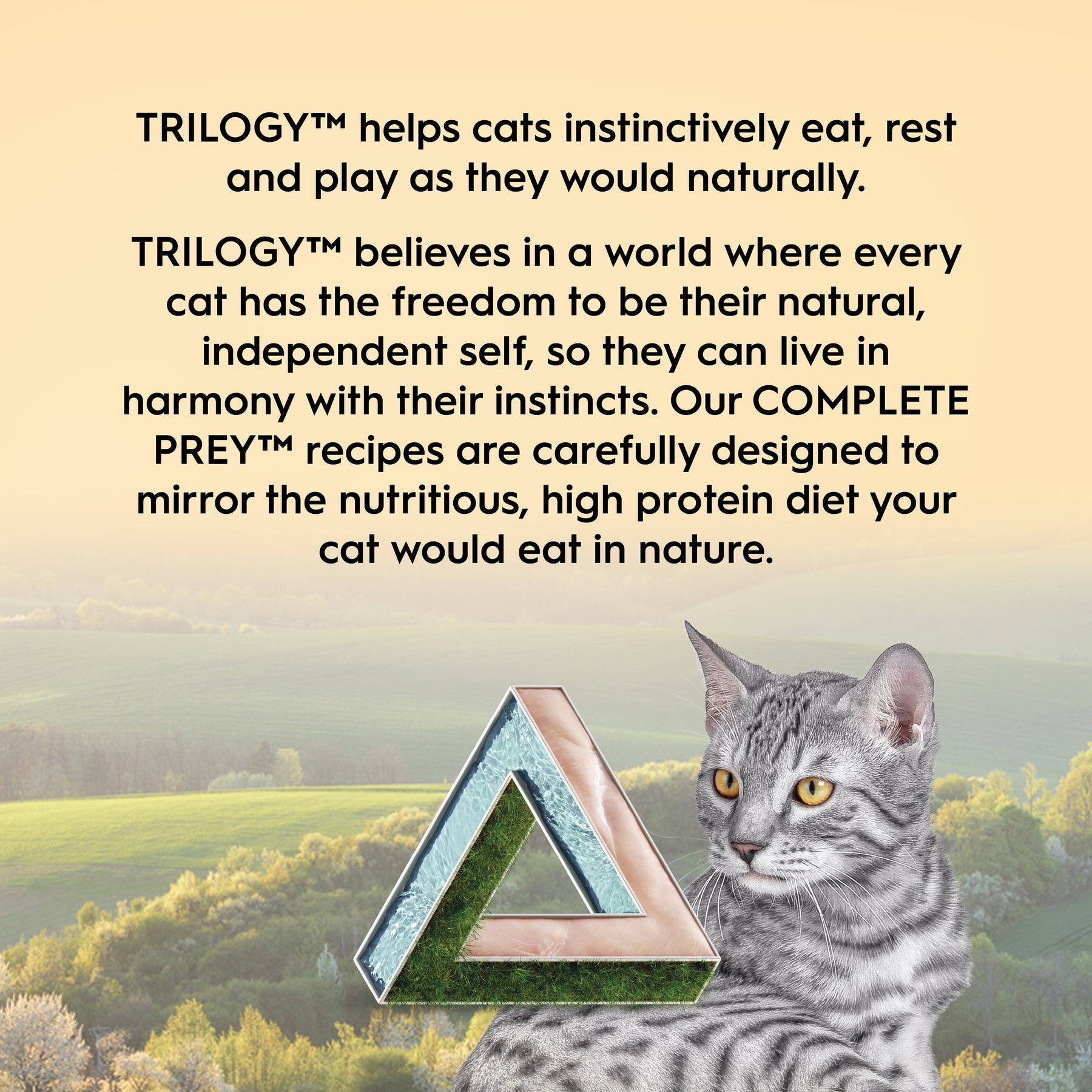 Trilogy™ All Cat Life Stages Complete Prey™ Pâté Farm Raised Chicken Wet Food
