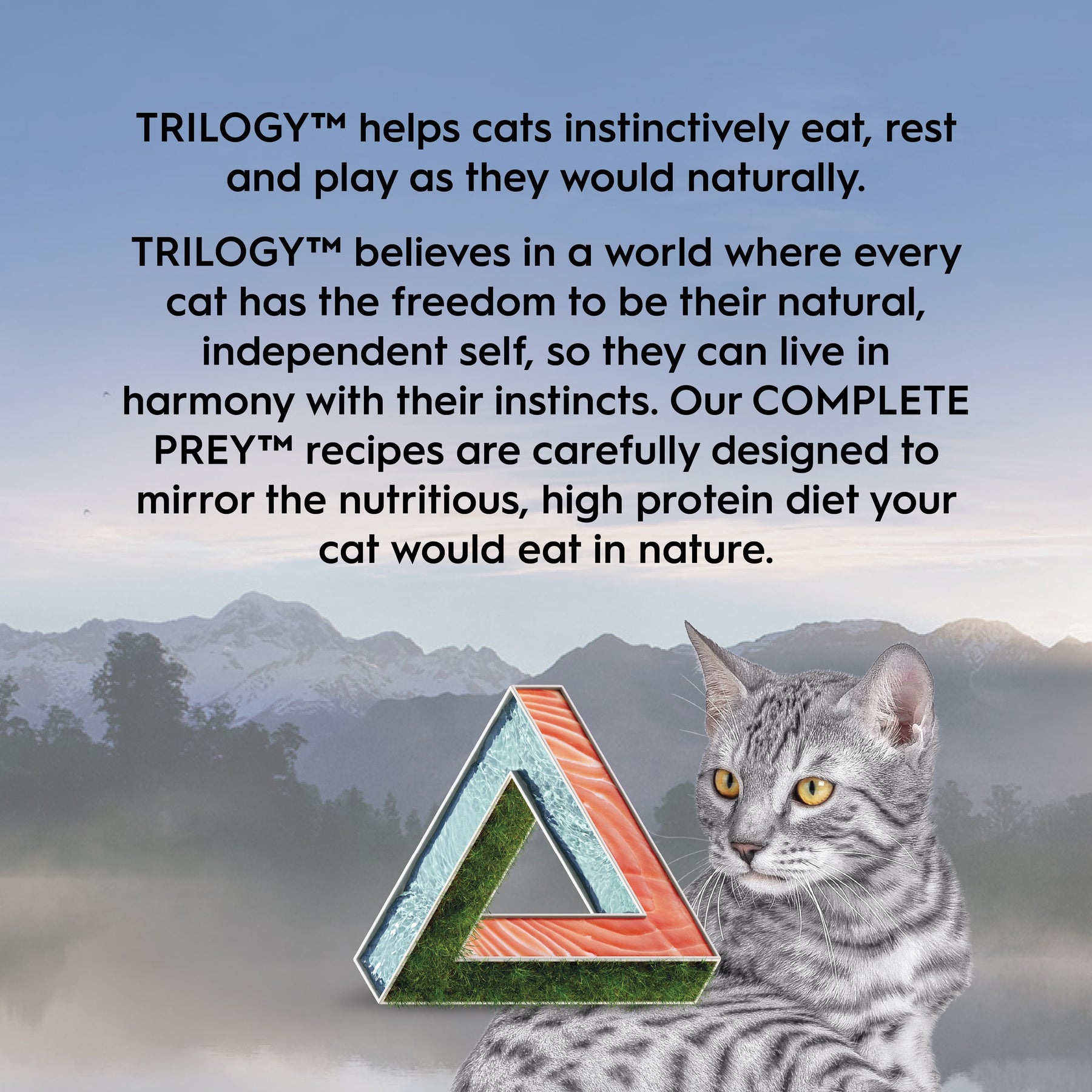 Trilogy™ All Cat Life Stages Complete Prey™ Pâté Wild Alaskan Salmon Set Food