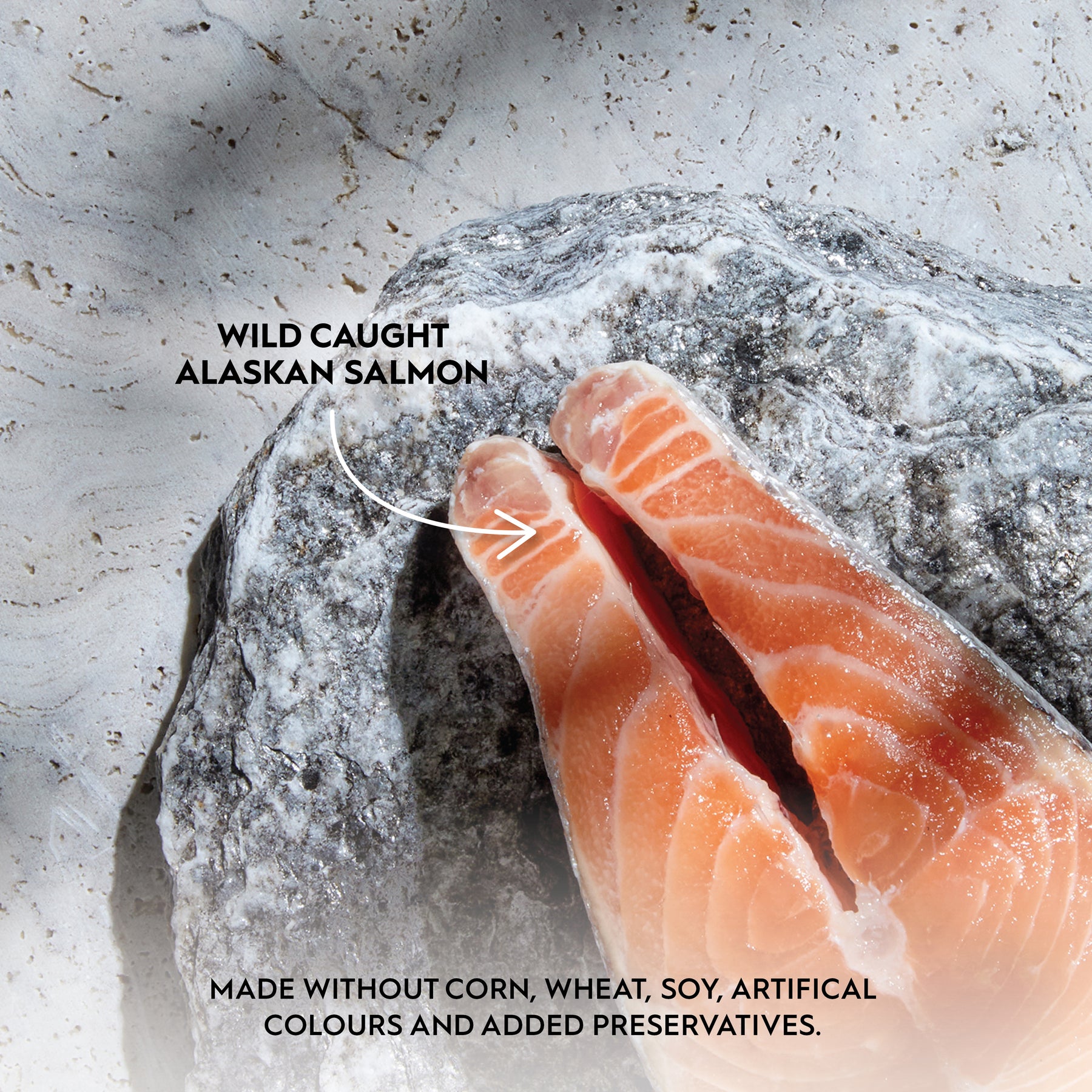 Trilogy™ All Cat Life Stages Complete Prey™ Pâté Wild Alaskan Salmon Set Food