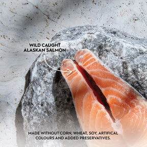 Trilogy™ All Cat Life Stages Complete Prey™ Pâté Wild Alaskan Salmon Set Food