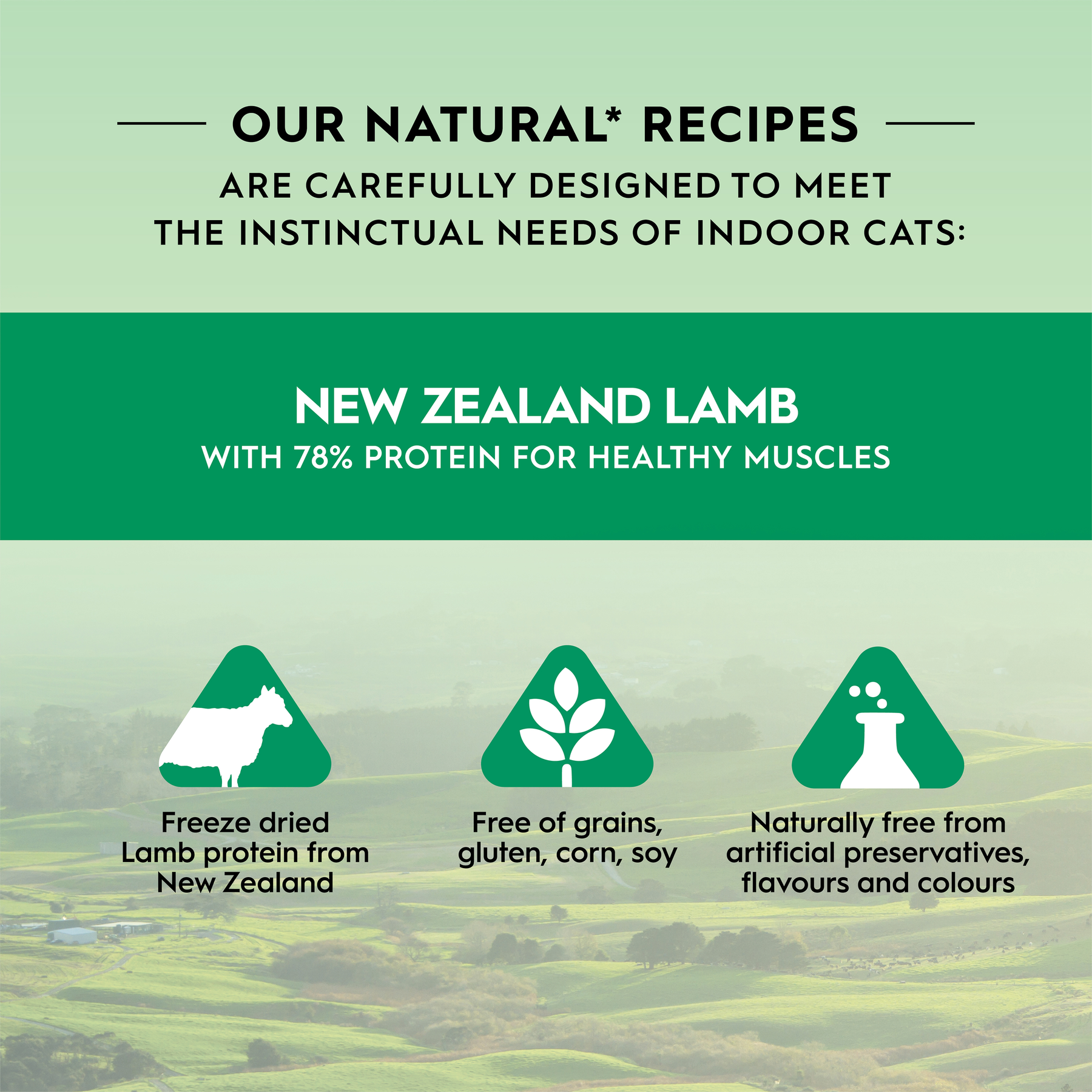 Trilogy™ Freeze Dried Lamb Cat Treats