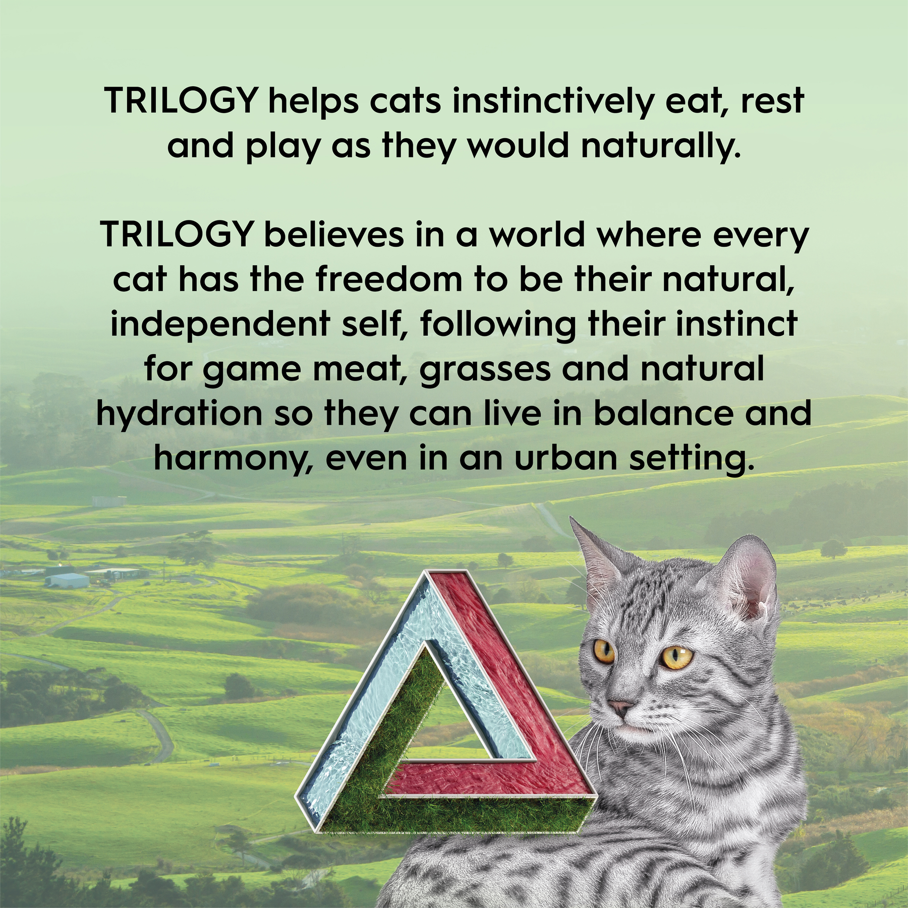 Trilogy™ Freeze Dried Lamb Cat Treats