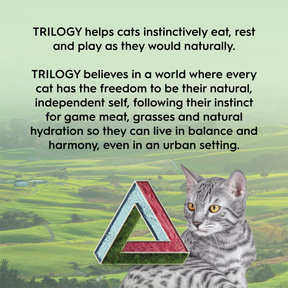 Trilogy™ Freeze Dried Lamb Cat Treats