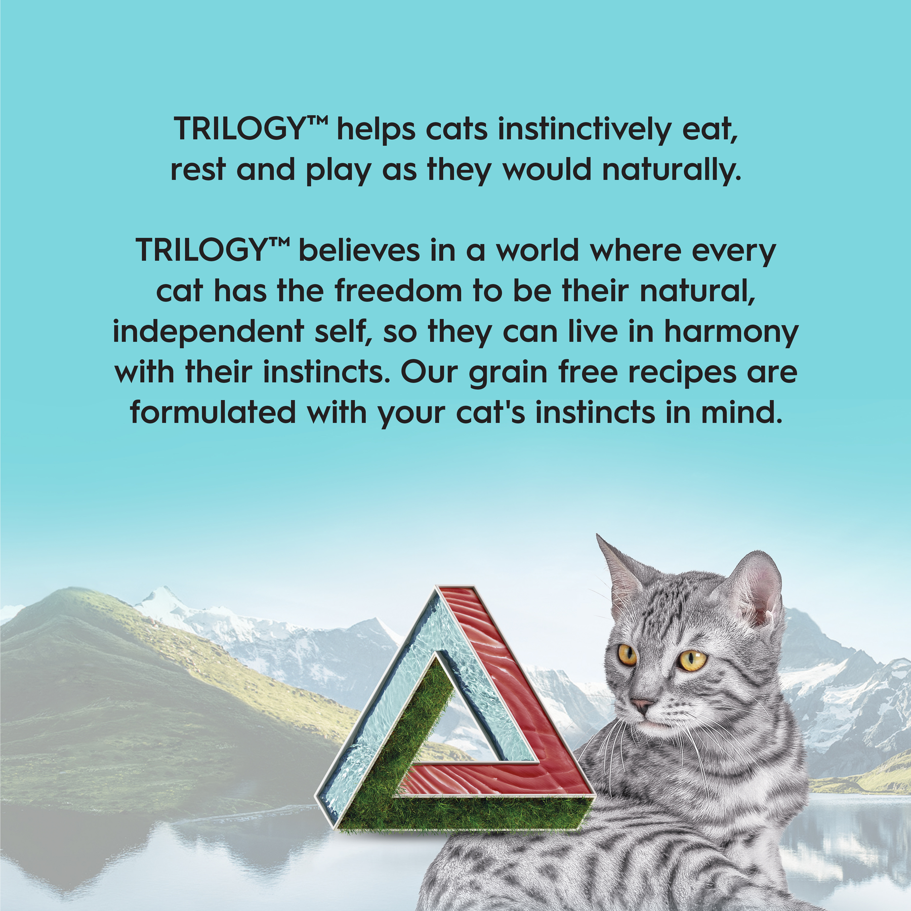 Trilogy™ Kitten Wild Caught Tuna in Bone Broth Wet Food
