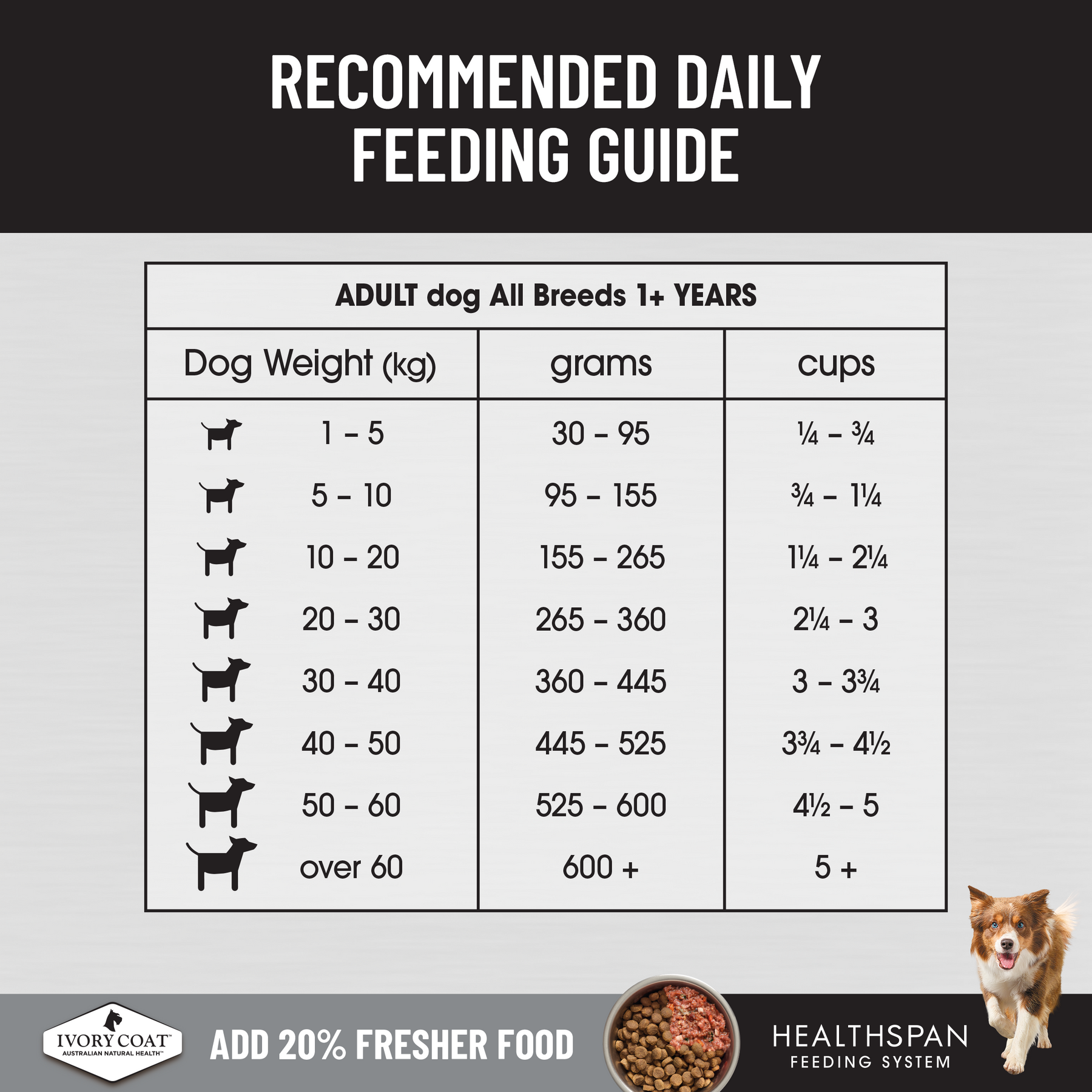 Ivory Coat™ Raw Health Adult Dog Health & Vitality Dry Food