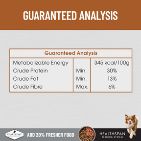 Ivory Coat™ Raw Health Adult Dog Health & Vitality Dry Food