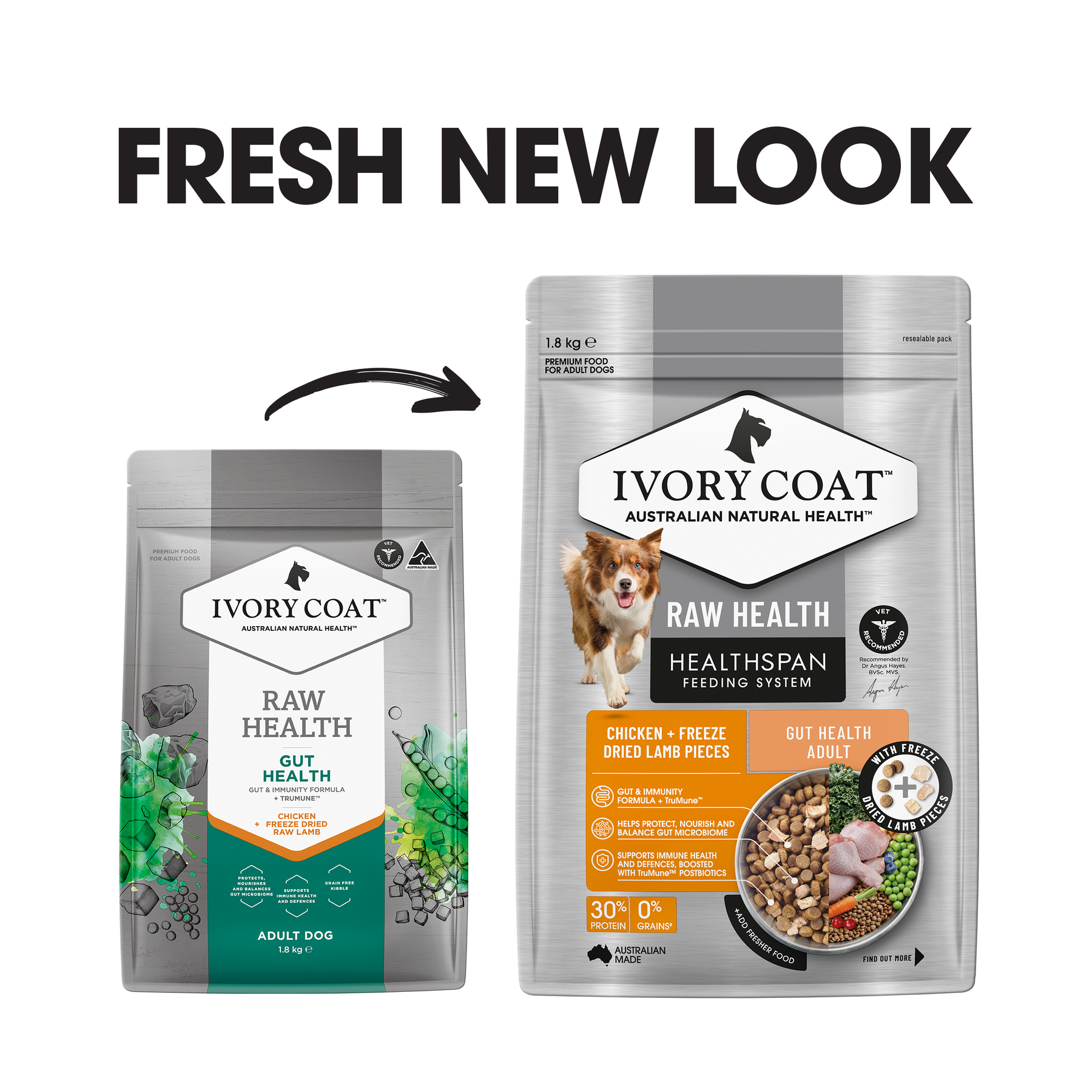 Ivory Coat™ Raw Health Adult Dog Gut Health Dry Food