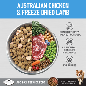 Ivory Coat™ Raw Health Puppy Immunity Dry Food