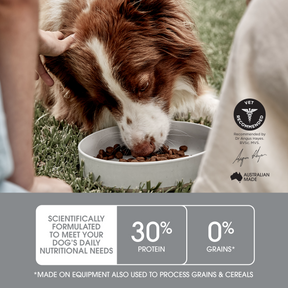 Ivory Coat™ Raw Health Adult Dog Health & Vitality Dry Food