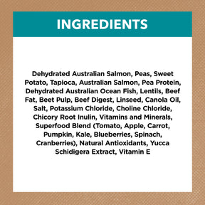 Grain Free Adult All Breeds Dry Dog Food Salmon & Ocean Fish